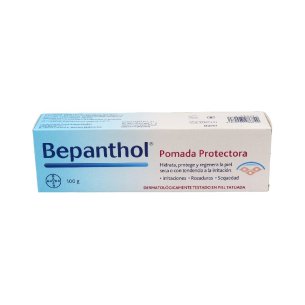 BEPANTHOL POMADA PROTECTORA  1 ENVASE 100 G