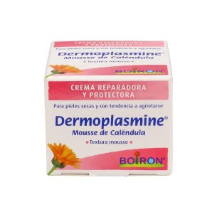 DERMOPLASMINE MOUSSE DE CALENDULA  1 ENVASE 20 G